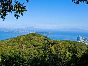 Cretaio-e-bosco-della-maddalena-ischia